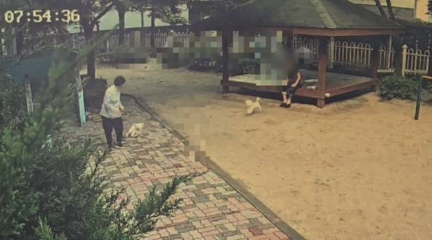 (보배드림 갈무리)