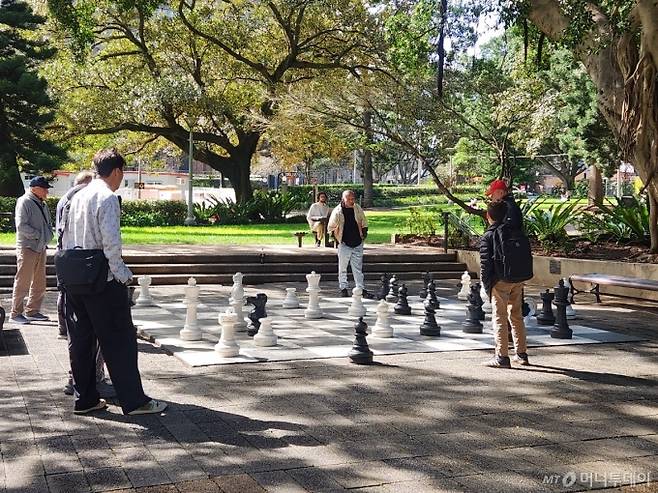 호주 시드니 하이드 공원에서 노인들이 체스를 즐기고 있다./사진=김근희 기자