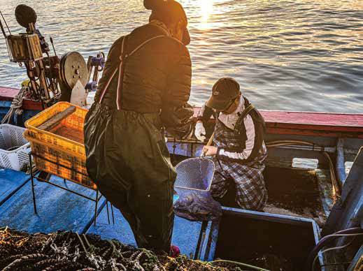 해 질 무렵 바다 위에서 어획한 해산물을 정리하는 곽동주·김창수 씨 부부.