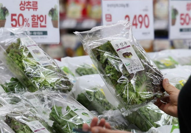 뉴스1 자료사진