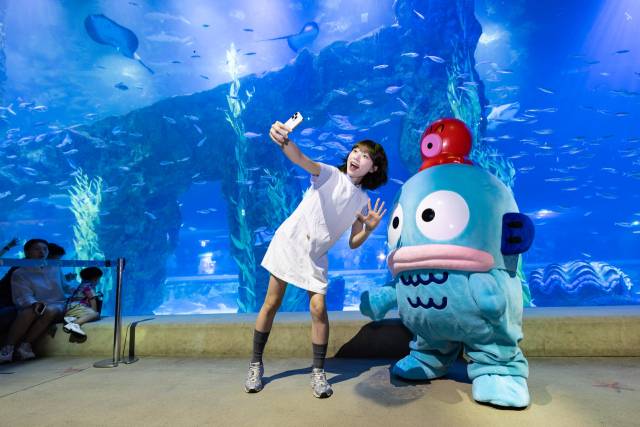 롯데월드 아쿠아리움 한교동 라이브캐릭터 그리팅. 사진 제공=롯데월드.
