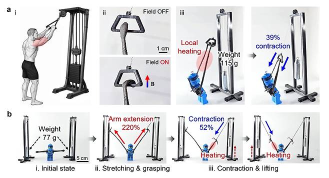 로봇 팔 시스템을 활용한 인공근육 동작 시연 [UNIST 제공. 재판매 및 DB 금지]