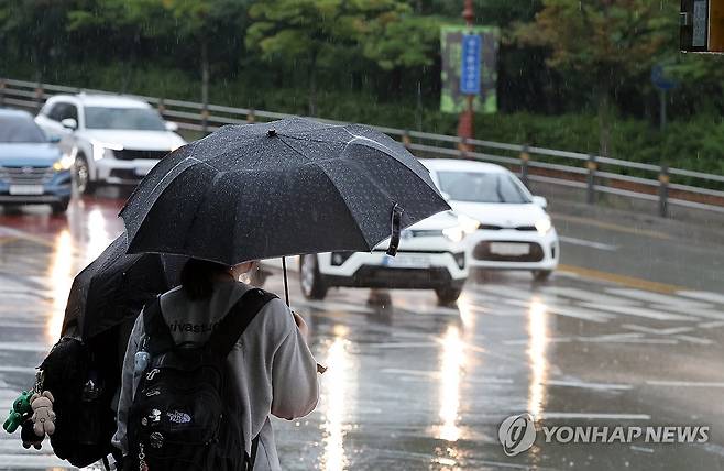 최악 가뭄 강릉에 소나기 [연합뉴스 자료사진]