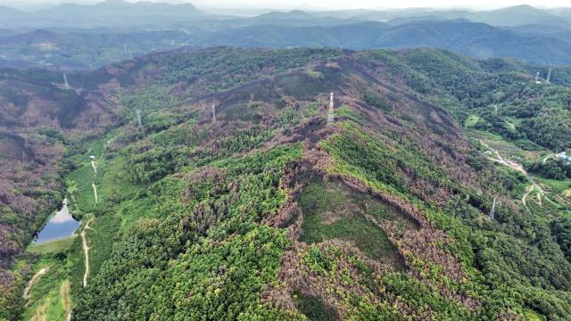 의성산불 발화지점 안평면 괴산리