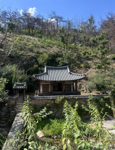 산불 피해지 정비를 마치고 시민에게 다시 개방되는 안동 만휴정. /안동시 제공