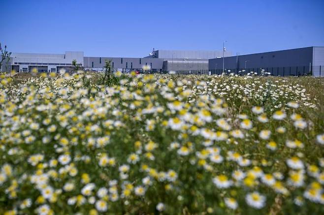 BMW 헝가리 데브레첸 공장 앞에 조성된 꽃밭 ⓒBMW코리아