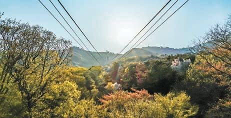 대구 도심 속 앞산은 케이블카를 타고 전망대까지 오를 수 있다. [사진 대구시]
