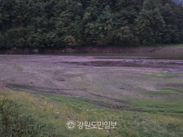 ▲ 태백시와 정선(고한·사북)·삼척(도계)의 용수공급원인 광동댐이 17일 현재 저수량이 477만2900㎥로, 총저수량(1310만㎥)의 36.4%(저수율)를 기록하며 가뭄 대응 ‘주의단계’가 발효됐다. 바닥이 드러나고 있는 광동댐. 전인수