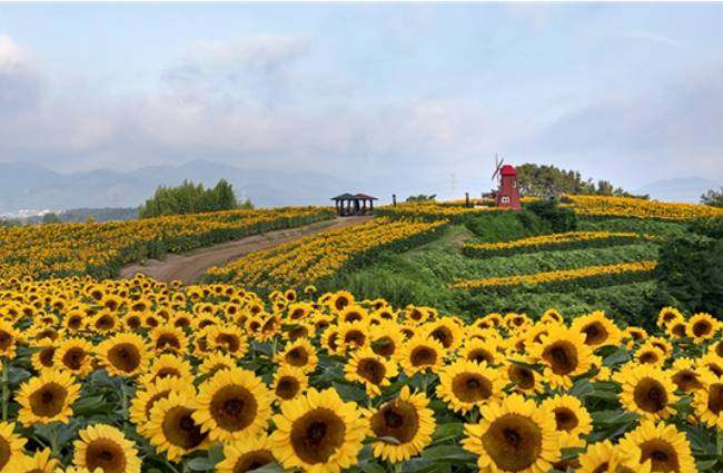 경상남도 함안군 법수면 강주리 경관을 담은 제19회 농촌경관 사진·영상공모전 수상작. 농식품부 제공