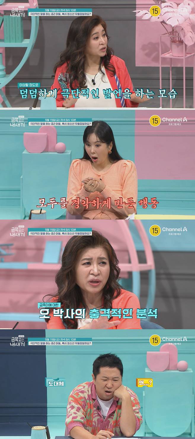 ‘금쪽같은 내새끼’. 사진| 채널A