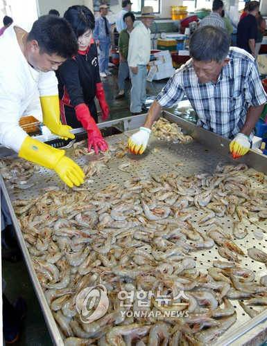 포구의 대하 [연합뉴스 자료 사진]