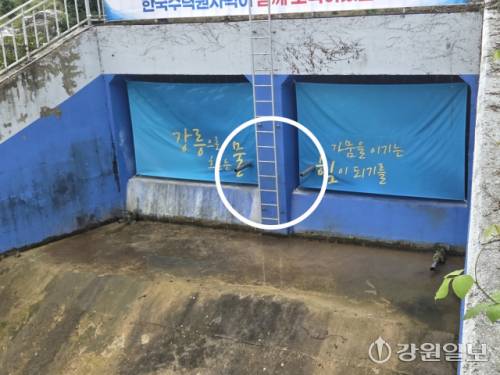 ◇도암댐 비상방류수가 방류될 방류구 2개(동그라미 안). 강릉=권순찬기자