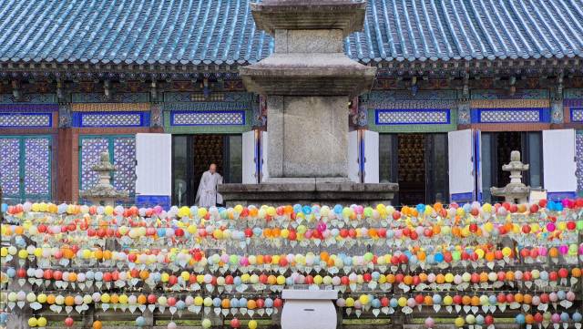 경북 김천시 직지사 비로전 앞 석탑 주위에 많은 소망등이 달려 이색적인 풍경을 연출한다. 남태우 기자