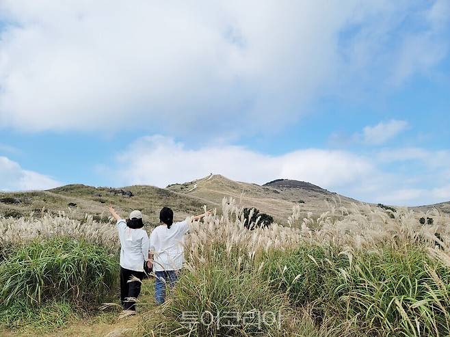 황매산 억새/사진=합천군