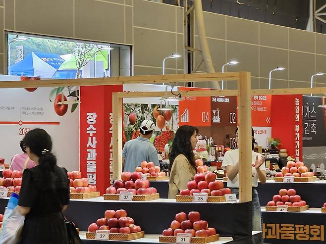 18일 전북 장수군 의암공원 일원에서 개막한 ‘제19회 장수 한우랑 사과랑 축제’를 찾은 관람객들이 농업홍보전시관에서 진행 중인 사과 품평회를 관람하고 있다. 올해 축제는 ‘색에 반하고 맛에 취한다’를 주제로 21일까지 나흘간 장수읍 의암공원과 누리파크 일원에서 진행된다. 장수군 제공