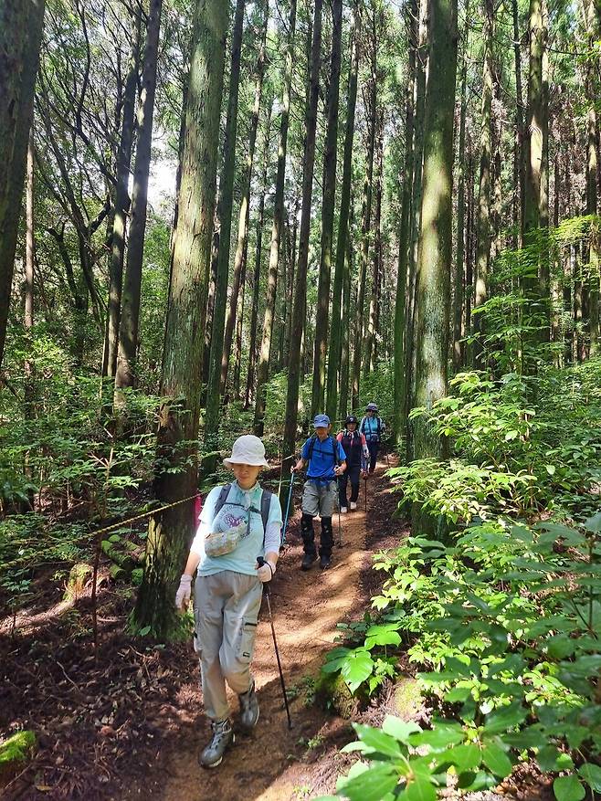한라산둘레길 오감걷기에 대해 조태봉 대장은 “트레킹에는 명상의 요소가 포함돼 있다”며 “일반적으로 도시에서 하는 명상은 명상할 장소를 스스로 찾아가야 하는데, 트레킹을 하게 되면 걷는 길 자체가 명상처가 된다”고 말했다.