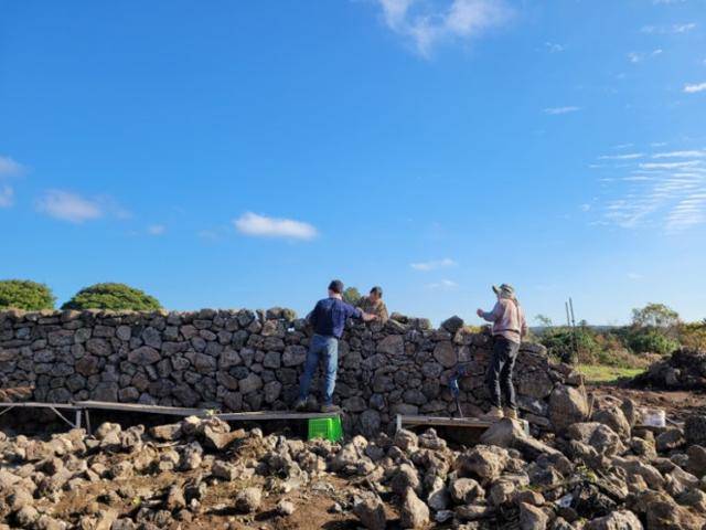 제주 돌담쌓기. 제주도 제공