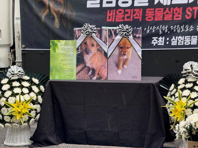 70여 개 동물단체가 모인 연대체 ‘실험동물 제도개혁을 위한 시민행동’이 19일 서울 여의도 국회 앞에서 집회를 열고, 유기동물이 불법 동물실험에 동원된 사건을 강력히 규탄했다. 이들은 실험에 동원돼 죽은 개 두 마리를 위한 추모식을 열었다. 독자 제공