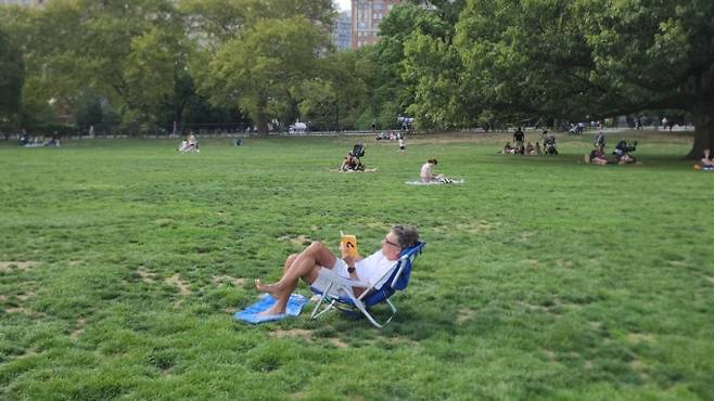 뉴욕 맨헤튼 센트럴 파크에서 독서하는 미국 백인 남성/사진=송정현 기자