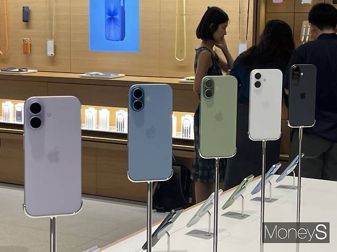 아이폰17 시리즈 일반 모델 /사진=한채연 기자