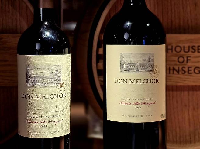 돈 멜초 2021(왼쪽). 최현태 기자