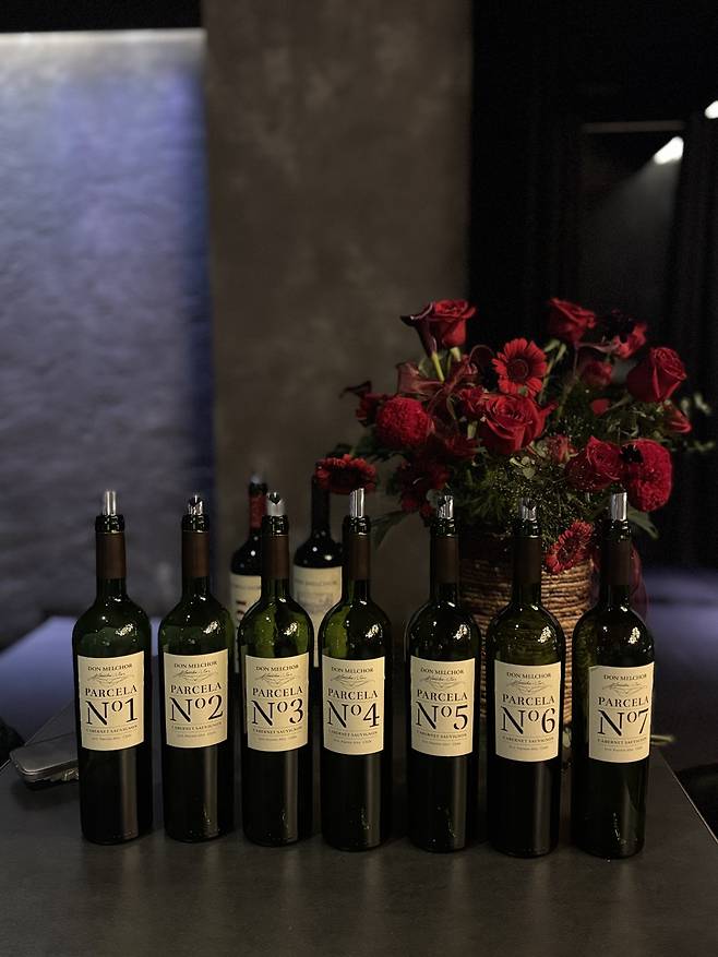 돈 멜초 7개 파셀.