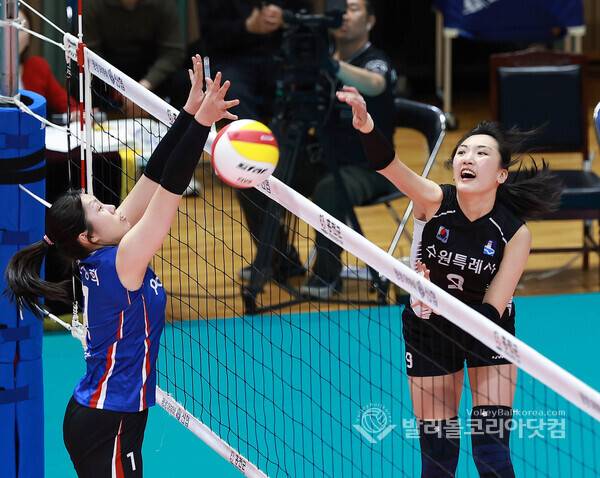 2025 한국실업배구 최강자는? 연맹회장배 종합선수권대회 20일 충북 단양서 개막...사진은 수원시청 윤영인이 공격을 하는 모습.