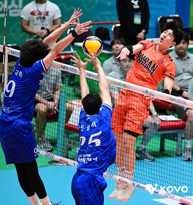19일 오후 전라남도 여수 진남체육관에서 열린 '2025 여수·NH농협컵 프로배구대회' 남자부 준결승 OK저축은행과 한국전력의 경기, OK저축은행 신장호가 공격을 시도하고 있다. KOVO