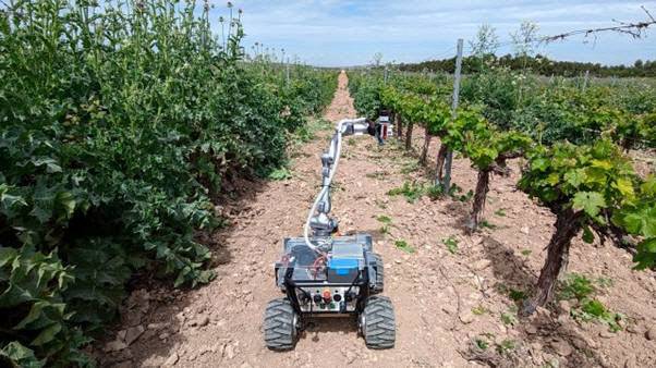 텔레포니카의 ‘Smart Agro 5G’ 프로젝트(사진=코트라)