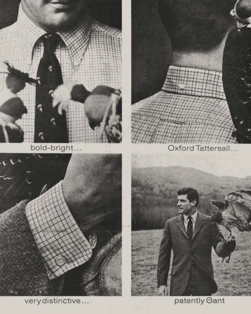 간트 홈페이지에 소개된 옥스퍼드 셔츠 광고. 광고 문구는 다음과 같다. 과감하게 밝은(선명한), 옥스퍼드 격자무늬의, 독특한, 명백하게도 간트. [사진 출처=간트 홈페이지]