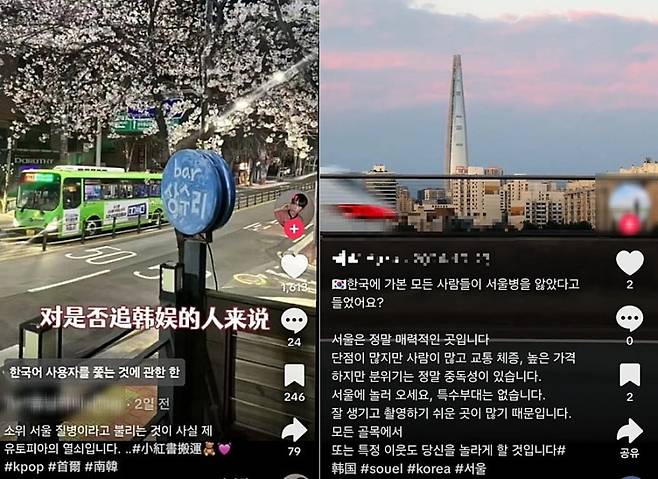 중국인들이 서울 여행을 다녀온 뒤 SNS에 '서울병' 해시태그와 함께 남긴 게시물. /사진=틱톡