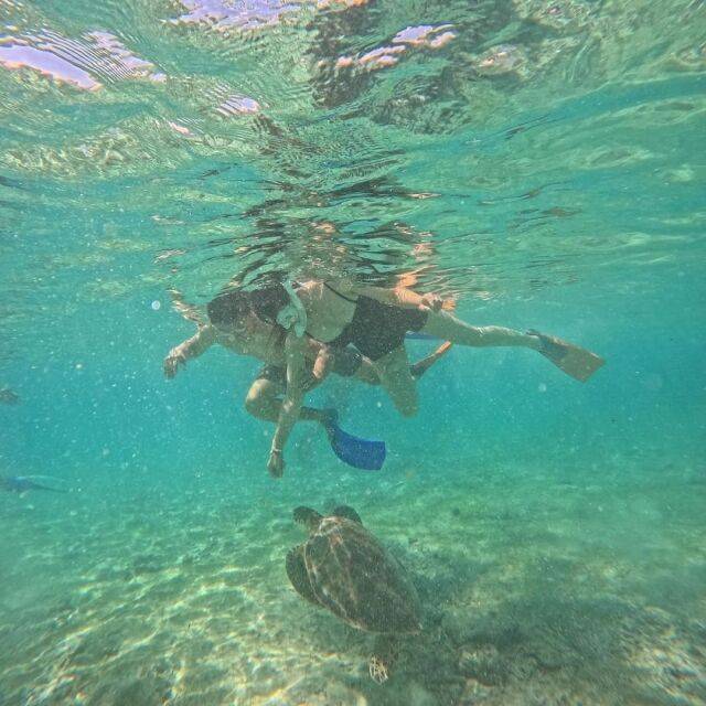 가수 김하영-박상준 부부. /김하영 소셜미디어