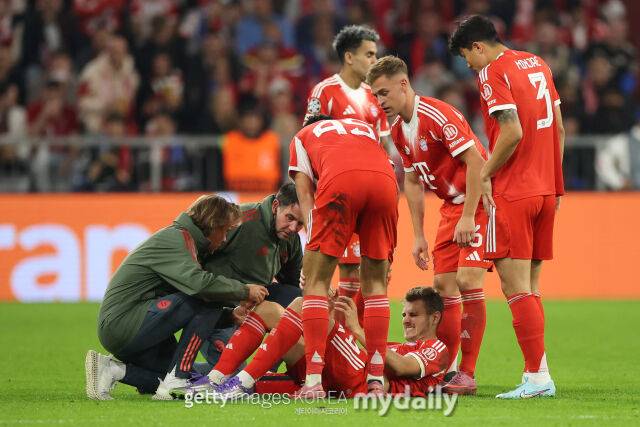 스타니시치/게티이미지코리아