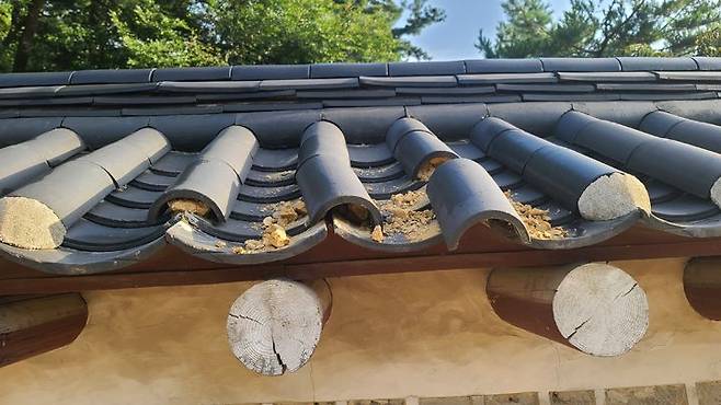 [서울=뉴시스] 15일 새벽 훼손된 종묘 담장. (사진=국가유산청 제공) 2025.09.16. photo@newsis.com *재판매 및 DB 금지