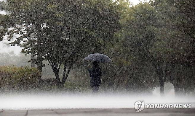 대전·세종·충남 호우특보 속 최대 80㎜ 이상 비 [연합뉴스 자료사진]