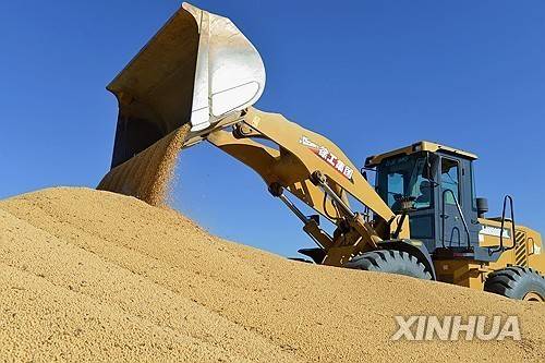 중국 헤이룽장성의 대두 수확 [신화 연합뉴스 자료사진]