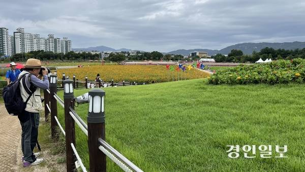 19일 오전 11시께 양주시 나리공원. 이곳을 찾은 시민이 꽃을 촬영하고 있다. 2025.9.19 /조수현기자 joeloach@kyeongin.com