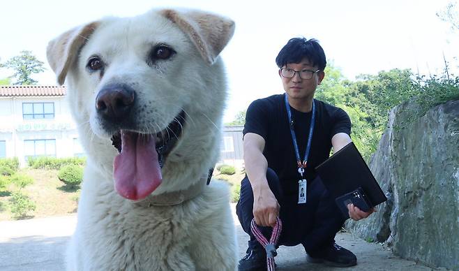 ▲&nbsp;인천 옹진군 연평도 평화안보수련원 앞. 2023년부터 풍산개 '햇님'이를 돌보고 있는 심용섭 주무관이 햇님이와 함께 쉬고 있는 모습. /이재민 기자 leejm@incheonilbo.com