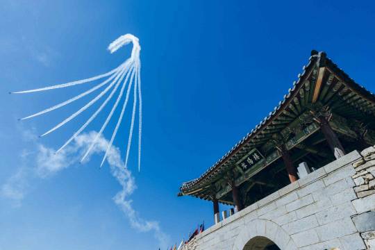 제 21회 해미읍성축제 블랙이글쇼