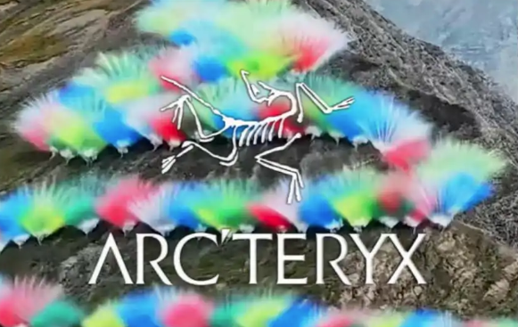 아웃도어 브랜드 아크테릭스의 로고와 이 회사가 지난 19일 티베트 시가체시 장쯔현에서 진행한 불꽃 예술 프로젝트 '승룡'의 한 장면을 합성한 이미지. 웨이보
