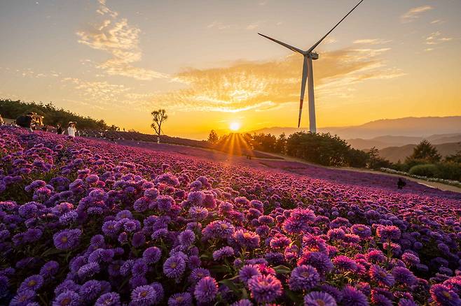 거창 검악산 꽃별여행. 한국관광공사