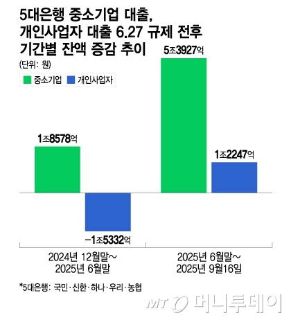 5대은행 중소기업 대출, 개인사업자 대출 6/그래픽=이지혜