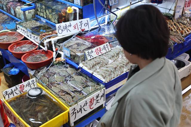 지난 11일 서울 동작구 노량진수산시장에서 한 시민이 국산 수산물을 살펴보고 있다. 연합뉴스