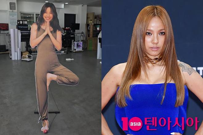 이효리/ 사진=이효리SNS, 텐아시아 DB