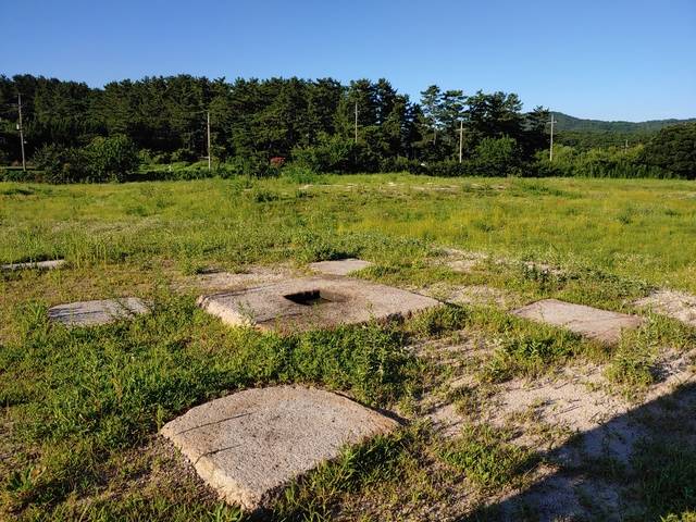 경주 사천왕사지 금당터.