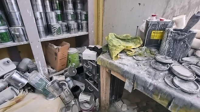 제주자치경찰단 제공