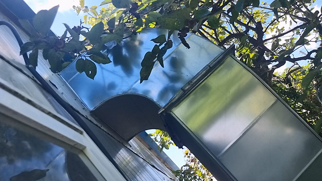 제주자치경찰단 제공