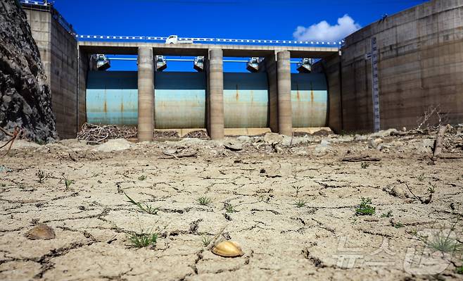 지난 10일 오후 강원 강릉시 오봉저수지가 바짝 말라붙어 바닥을 드러내고 있다.(뉴스1 DB) ⓒ News1 김진환 기자