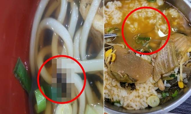 /국회 농림축산식품해양수산위원회 소속 정희용 국민의힘 의원실