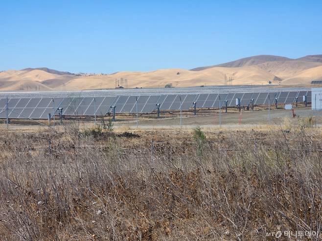 미국 캘리포니아 뉴먼 지역에 설치된 태양광 패널 /사진=김지현